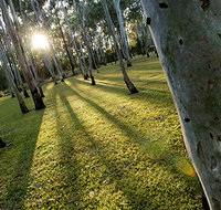 Tondoon Botanic Gardens - Taree Accommodation