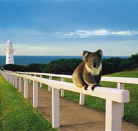 Cape Otway Lightstation - Taree Accommodation