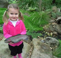 Wild Food Farm  Cafe - Taree Accommodation