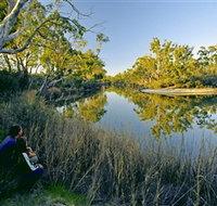 Little Desert National Park - Taree Accommodation
