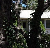 Melaleuca Gallery - Taree Accommodation