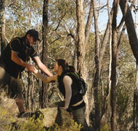 Greater Bendigo National Park - Taree Accommodation