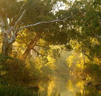Brimbank Park - Taree Accommodation