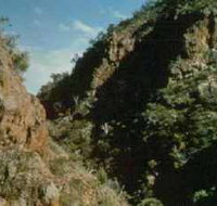 Werribee Gorge State Park - Taree Accommodation