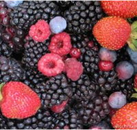 Gentle Annie Berry Gardens - Taree Accommodation