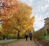 Indigo Gold Trail - Taree Accommodation