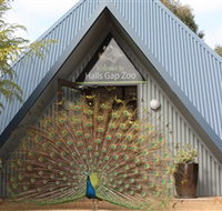 Halls Gap Zoo - Taree Accommodation