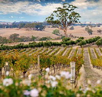 Redesdale Estate - Taree Accommodation