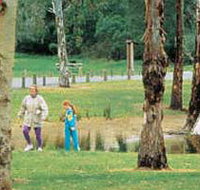 Westerfolds Park - Taree Accommodation