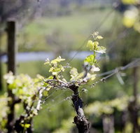 Norton Estate Wines - Taree Accommodation
