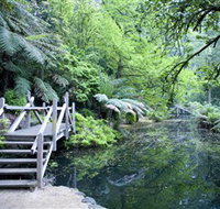 Alfred Nicholas Gardens - Taree Accommodation