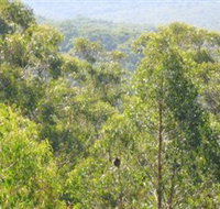 Bunyip State Park - Taree Accommodation