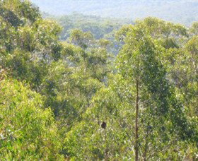 Bunyip State Park - Taree Accommodation 0