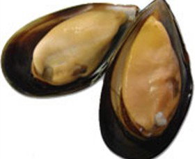 Sea Bounty - Taree Accommodation 0