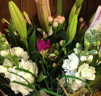 Alpine Blooms Florist Mansfield - Taree Accommodation