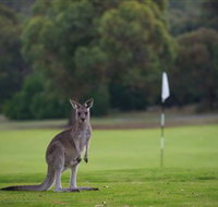 Anglesea Golf Club - Taree Accommodation