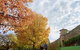 Beechworth Historic Park - thumb 0