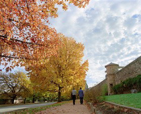 Beechworth Historic Park - Taree Accommodation 0