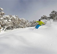 Mt Buller and Mt Stirling Alpine Resort - Taree Accommodation
