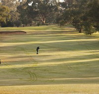 Cohuna Golf Club - Taree Accommodation