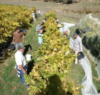 Blakes Estate Winery - Taree Accommodation