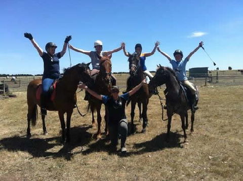 Saddle On Riding School - Taree Accommodation 1