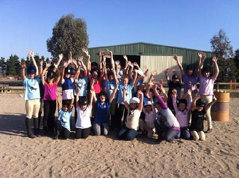 Saddle On Riding School - Taree Accommodation 2