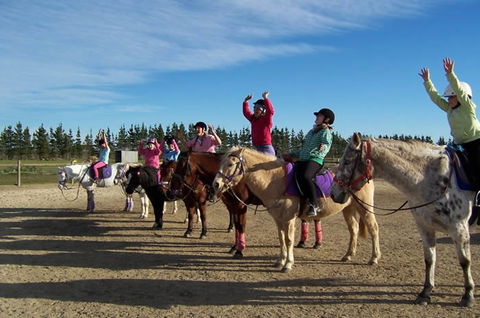 Saddle On Riding School - Taree Accommodation 3