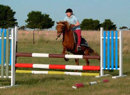 Saddle On Riding School - Taree Accommodation 5