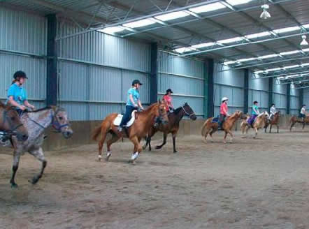 Saddle On Riding School - Taree Accommodation 7