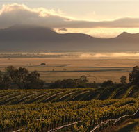 Montara Wines - Taree Accommodation