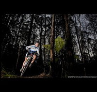 Ride Forrest - Taree Accommodation
