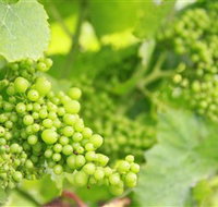 Waratah Hills Vineyard - Taree Accommodation