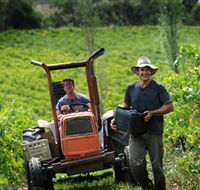 Kellybrook Winery  Kelly Brothers Cider - Taree Accommodation
