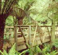 Mount Worth State Park - Taree Accommodation