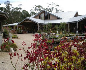 Kuranga Native Nursery And Paperbark Cafe - Taree Accommodation 0