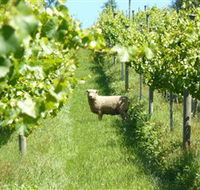 Passing Clouds - Taree Accommodation
