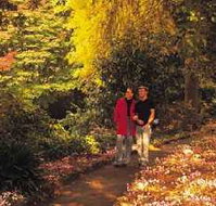 George Tindale Memorial Gardens - Taree Accommodation