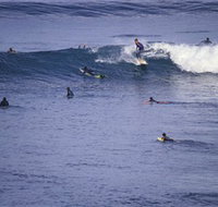 Point Addis Marine National Park - Taree Accommodation