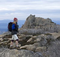Mount Buffalo National Park - Taree Accommodation