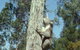 Creswick Regional Park - thumb 0