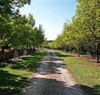 Waybourne Winery - Taree Accommodation