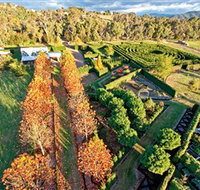 High Country Maze - Taree Accommodation