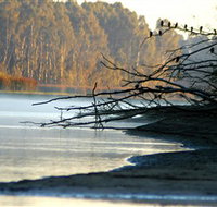 Barmah National Park - Taree Accommodation
