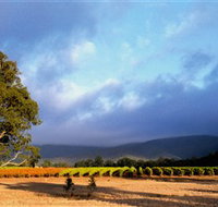 Mount Avoca - Taree Accommodation