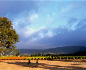 Mount Avoca - Taree Accommodation 0