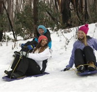 Lake Mountain Alpine Resort - Taree Accommodation