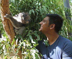 Healesville Sanctuary - Taree Accommodation 0