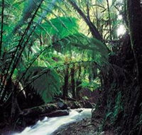 Melba Gully - Taree Accommodation