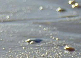 Cape Liptrap Coastal Park - Taree Accommodation 0